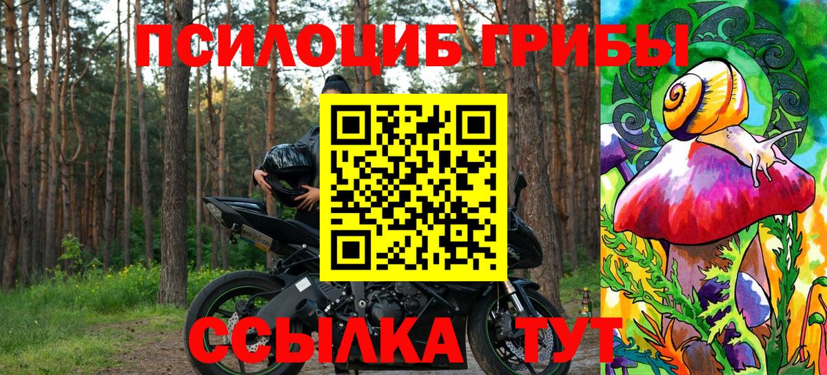 где купить наркоту  Псилоцибиновые грибы мухоморы  Южно-Сахалинск  Вход с VPN  Галлюциногенные грибы Cubensis 